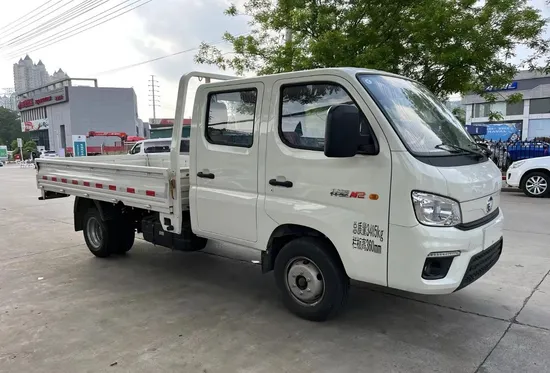 122HP Gasoline Microcar: Luxury Features and Single Row Designcar