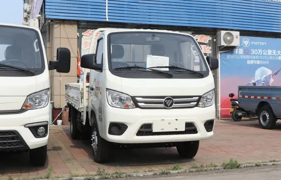 Foton Xiangling M1 Striving Edition 1.6L 122 Horsepower 3.3m Single Row