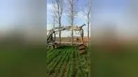 Tree Planting Digging Machine Earth Auger Drill with Tungsten Bits Teeth 