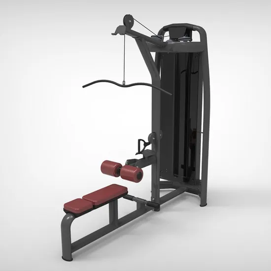 Double Functions Body Building Lat Pulldown & Low Row Muscle Training 