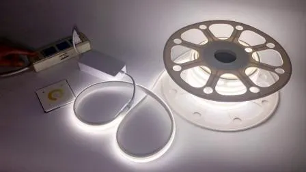 220V SMD 2835 LED Strip Light Double Rows Color Changed 3000K