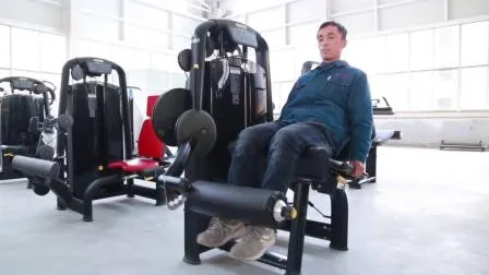 Lat Pulldown & Low Row Double Functions Body Building Muscle Training 