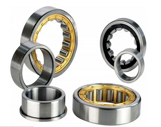 China Factory Nj Type Cylindrical Roller Bearing Double Outer Walls Single Row 