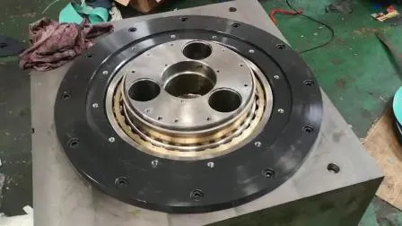 Cylindrical Roller Bearing Bearings N/Nu/NF/Nj/Nup/Ncl/Rn/Rnu Single Double Row 